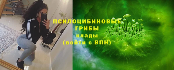 гашик Алексин