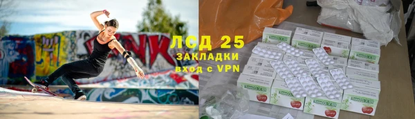 ПСИЛОЦИБИНОВЫЕ ГРИБЫ Алзамай