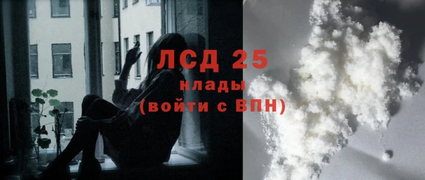 ПСИЛОЦИБИНОВЫЕ ГРИБЫ Алзамай