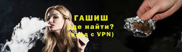 гашик Алексин