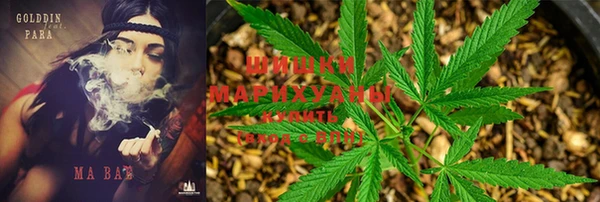 ПСИЛОЦИБИНОВЫЕ ГРИБЫ Алзамай