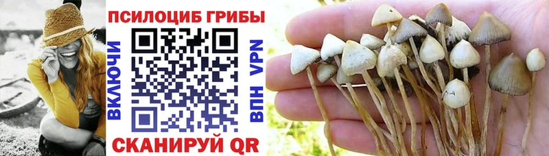 KRAKEN рабочий сайт  Завитинск  Псилоцибиновые грибы ЛСД 